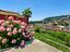 Immagine 10