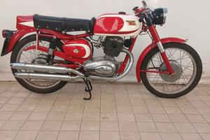 Morini Tresette Ollearo Red Panther MotoBi