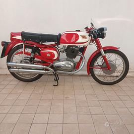 Morini Tresette Ollearo Red Panther MotoBi
