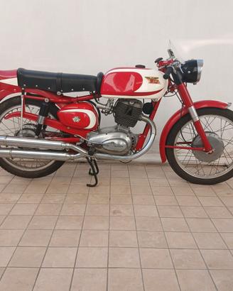 Morini Tresette Ollearo Red Panther MotoBi