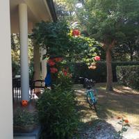 Ronchi Poveromo 4 km da Forte dei Marmi invernale