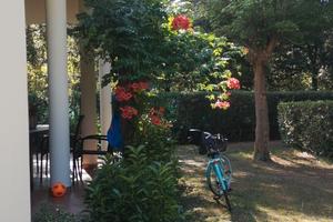 Ronchi Poveromo 4 km da Forte dei Marmi invernale