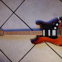 FENDER PLAYER STRT HSS PLSTP MN ACB