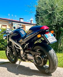 Splendida Triumph Speed Triple.