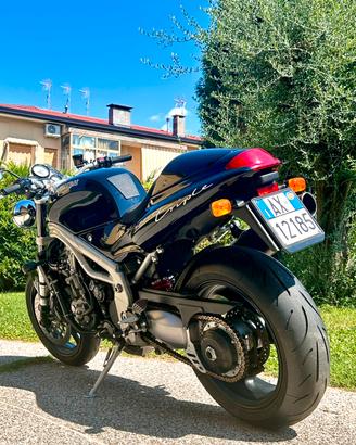 Splendida Triumph Speed Triple.