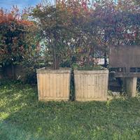 Coppia di vasi in cemento armato