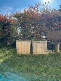 Coppia di vasi in cemento armato