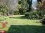Immagine 25