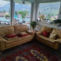Coppia divani in pelle 3+2