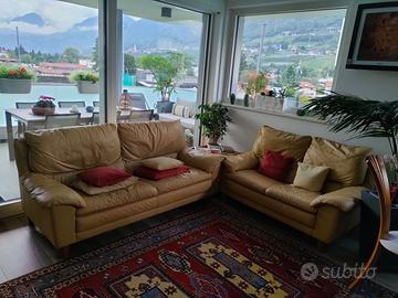 Coppia divani in pelle 3+2