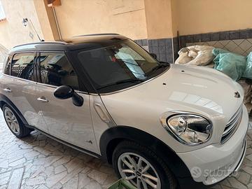Mini countryman