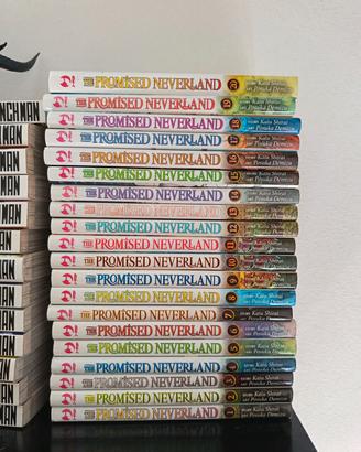 The promised Neverland