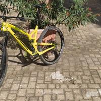 MTB Propain Hugene XL