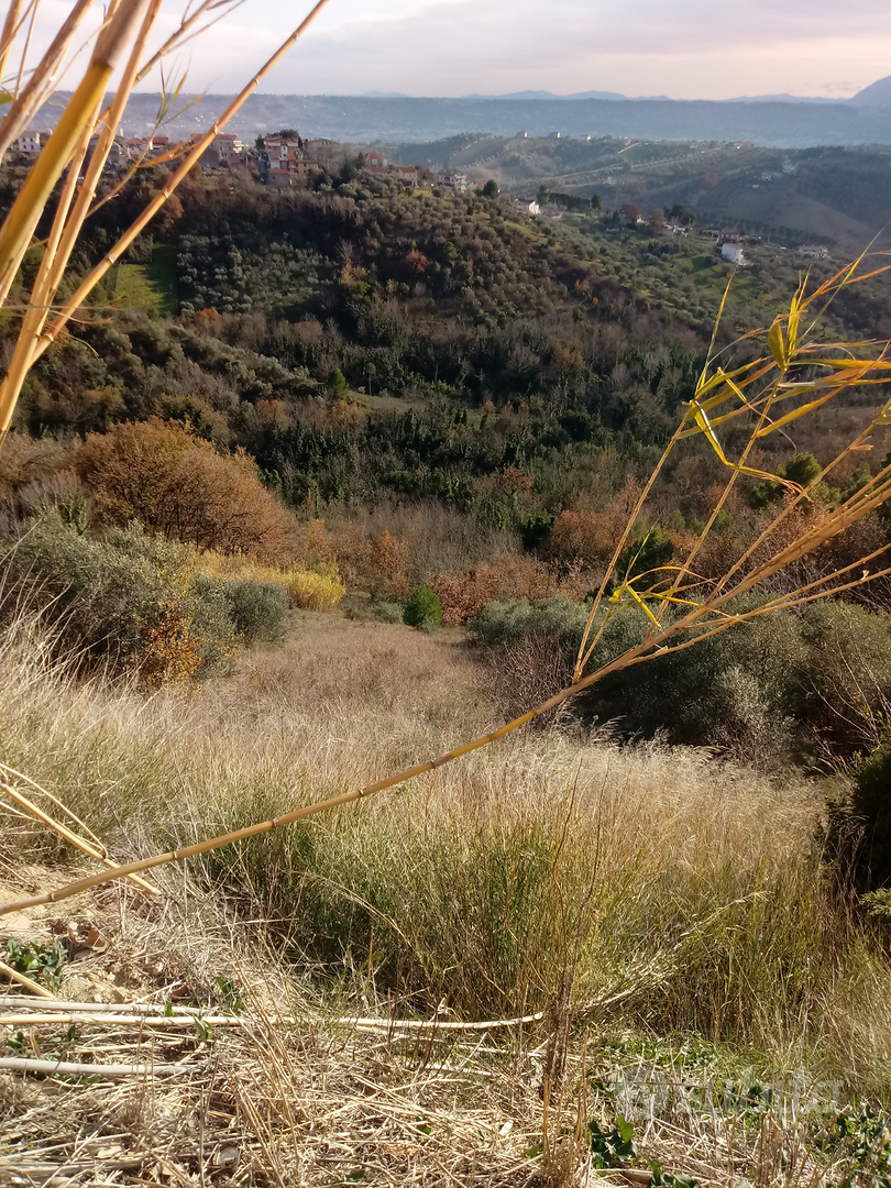 Terreno agricolo - Vista 2