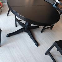 Tavolo allungabile Ikea Ingatorp