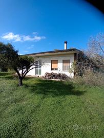 Casa indipendente con frutteto