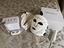 Immagine 2