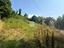 Immagine 14