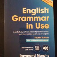English grammar in use