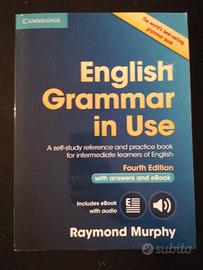 English grammar in use