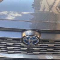 RAV4 Active 2019-97000km-tagliandi TOYOTA