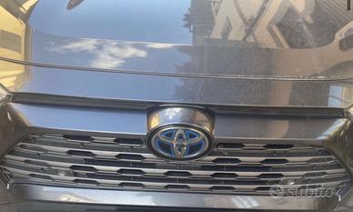 RAV4 Active 2019-97000km-tagliandi TOYOTA