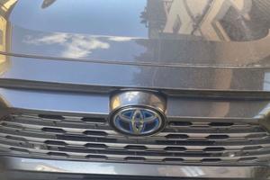 RAV4 Active 2019-97000km-tagliandi TOYOTA