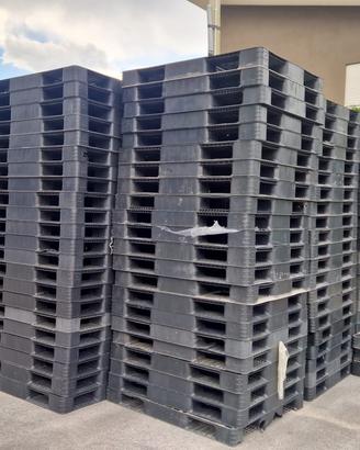 Pedane bancali plastica