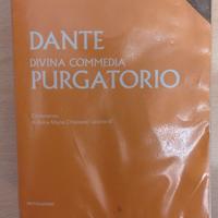 Dante Divina Commedia: Purgatorio 