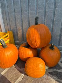 Arredamento zucca