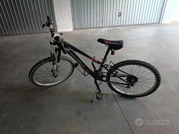 bicicletta per bambini 