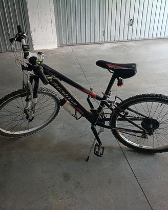 bicicletta per bambini 