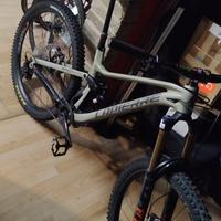 Bici enduro dh