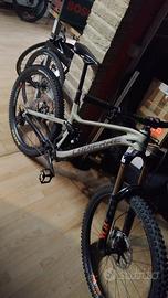 Bici enduro dh