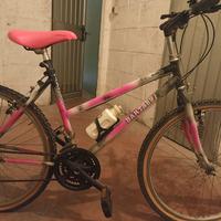 Mountain-bike 