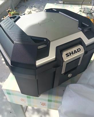 bauletto shad terra tr41