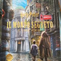 Harry Potter il mondo segreto