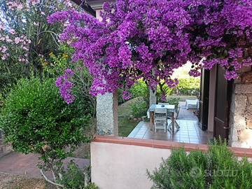Casa vacanze San Teodoro Sardegna stagione 2026