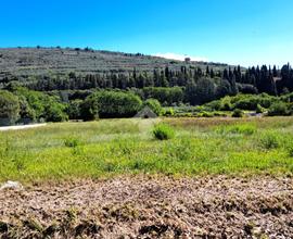 TER. AGRICOLO A SPELLO