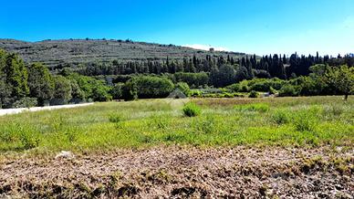 TER. AGRICOLO A SPELLO