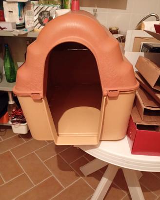 Cuccia