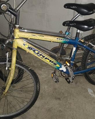 Lotto 5 biciclette 
