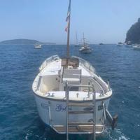 Gozzo 6.5 Mt FNM 39CV Diesel bassi consumi