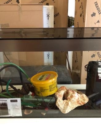 Acquario pesci 200 lt