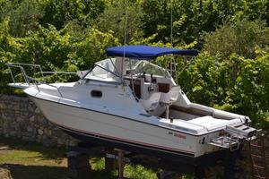 Vendita barca a motore