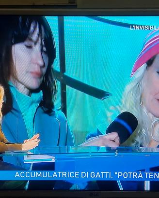 Tv LG 32 pollici full hd 