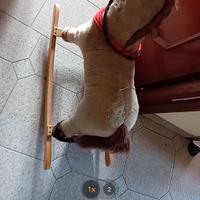 Cavallo a dondolo da restaurare