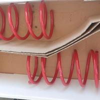 Molle assetto sportivo simoni racing