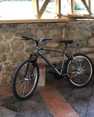 Bicicletta cross
