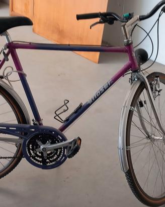 Bicicletta da città